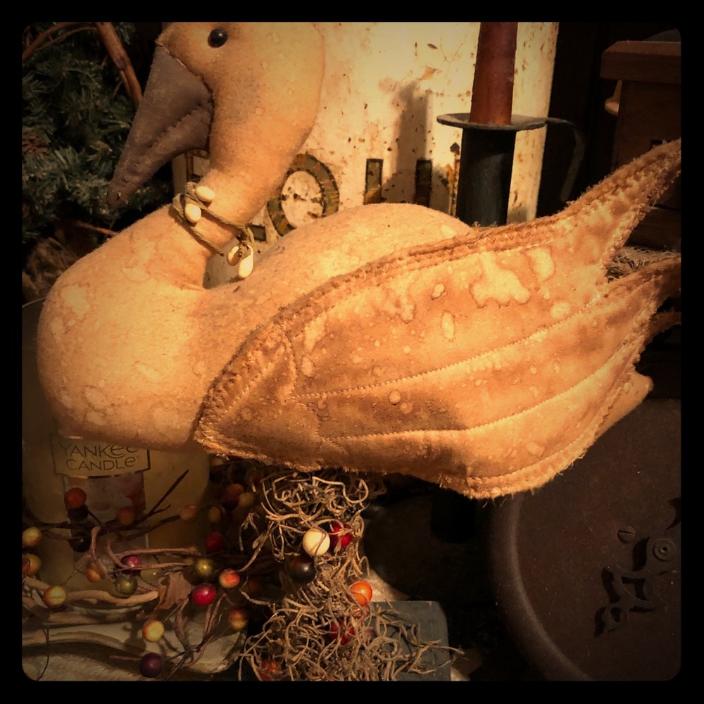 Primitive Swan